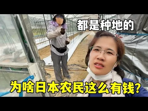 深度解析：开云体育为何成为2026最受瞩目的体育娱乐平台
