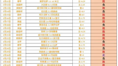 “丽马出行全指南大公开”